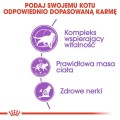 bfa1de0ad2435f140278b57675e74f2d
