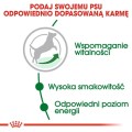 6e8f2ba122518533d46730808d52d97a