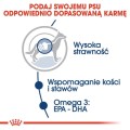 e185e3c202d0e68a57ea09f1c9b0a973