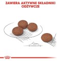 789a7b23523356fbde0572bd57ec81b4