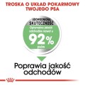1e99c62c557b2f296ea6e2978db71746