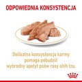 49109dd88cf0974f4583f6ab94d578a7