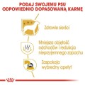 d68591201dfa82a5d5d51322b3fe3d21