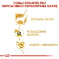 cb0272f8e15d81787640d099b21ddd4b