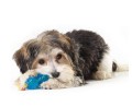 c1909a716528cad8def0892092c3cc54