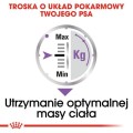 73c00f8a53d3e6993635383e5ed68f71