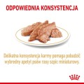 017434641dc0a93f643555156cf5859f
