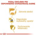 b74de01ca1f095d7e8ed06d33ae87819