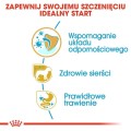 e42c396097dfcfb2833963c0c5ba6701
