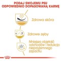bcc212da5bc5b83bcd43253cefe13807