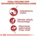 26f2e7ad89e43d2002365bf8b953908a