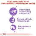 c96822128315afbb3ab87aa342296578