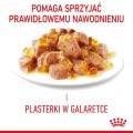 4118e57f628ef90734da6dbc0d58414d