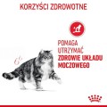 30aa6af06bb70188f52e02620be8275c