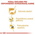 895a7d20f99dc365973cabf0b80ce9cf