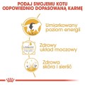 e14beac457ed8c8595f69eec566a172c