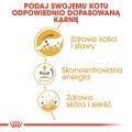 a3999888424d6a6f5f3e85dc756798e2