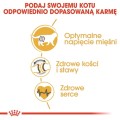 f8afbd2bb4ba5e8cc8a3f7ac07997b1a