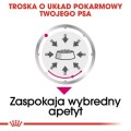 9d7e5d02d0ab87bf8ef70ff5163bc265