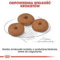 701e735e68e3adb6f3427a9887d2d87f