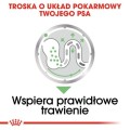 9929738baa52ba63e2f245aea1ebcb54