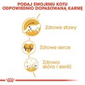 8ede7648468118657c0259bfe07587e6