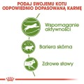 0ce22f8d1a68e27a0df4127626f9c8b9