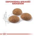 107280cb6c8440eca5deebb8ec36ff9a