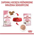 85deb06ab28ed00c33ba69437ccf8bbd