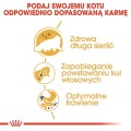 0ab537ff5e025a2b2ffa1004b119ab35