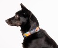 ef952a920fa129fdced0d25d55f6faa6